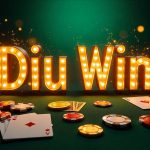 DiuWin
